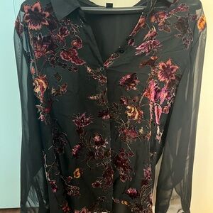 Roz & Ali Burnout Velvet Sheer Blouse Womens 1X Black